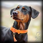 Animal Portait of Dog