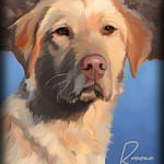 Labrador Dog Portrait