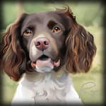 Animal Portraits for Dogs