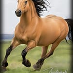 Horse Portrait of Thunderbolt