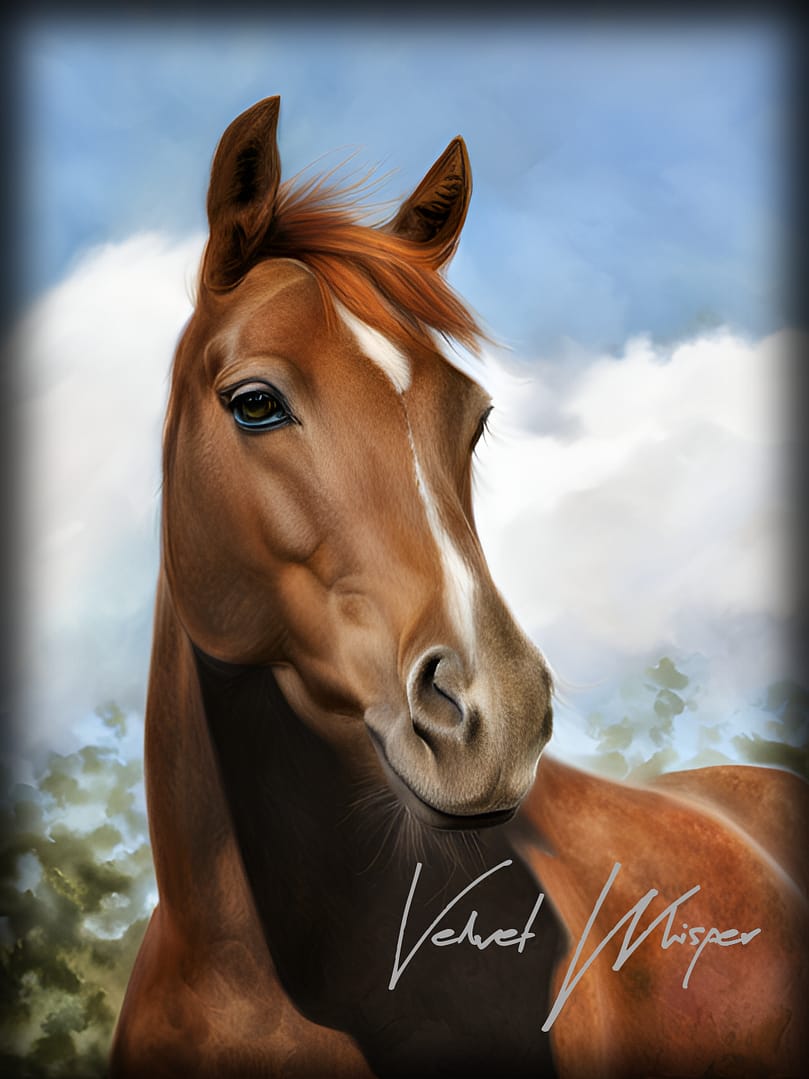 Horse Portrait